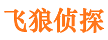 市中市侦探调查公司